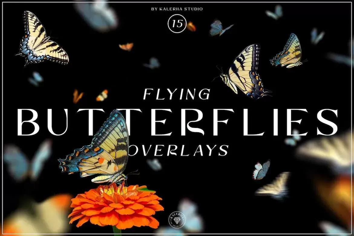 Overlay bướm bay