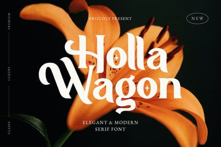 Holla Wagon – Elegant Stylish Serif