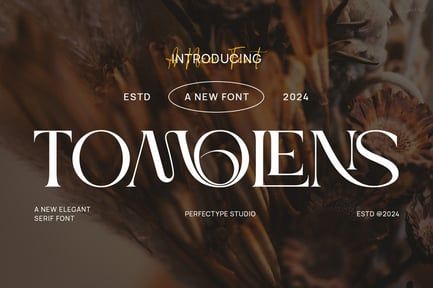 Tomolens Elegant Ligature Serif Font Typeface