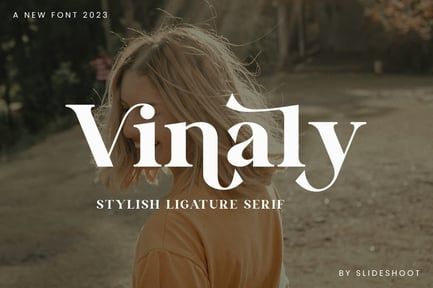 Vinaly Serif Font