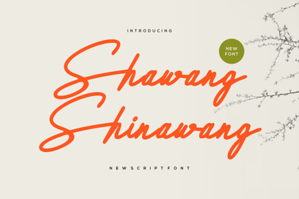 Shawang Shinawang – New Script Font