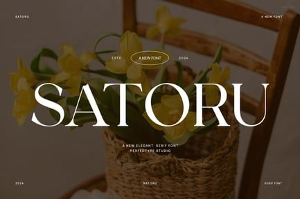 Satoru Elegant Ligature Serif Font Typeface