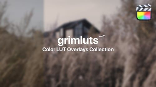 Grim Presets for Final Cut Pro Vol. 01