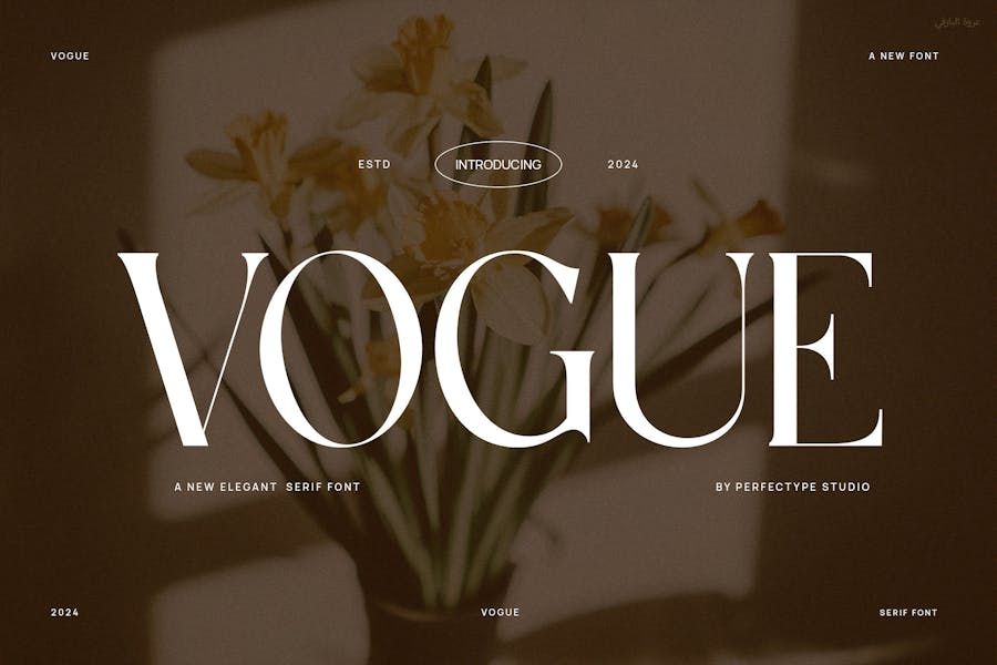 Vogue Elegant Serif Font Typeface