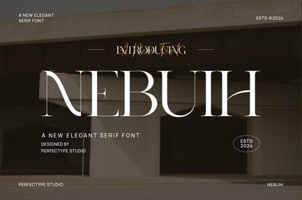 Nebuih Elegant Serif Font Typeface