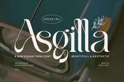 Asgille Elegant Ligature Serif Font Typeface