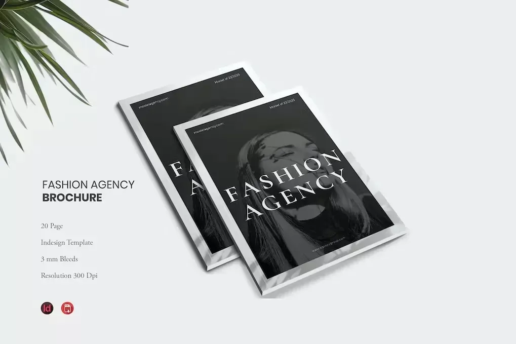 Agency Brochure