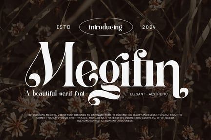 Megifin Beautiful Ligature Serif