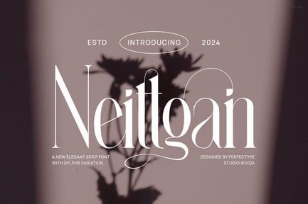 Neittgan Elegant Ligature Serif Font Typeface