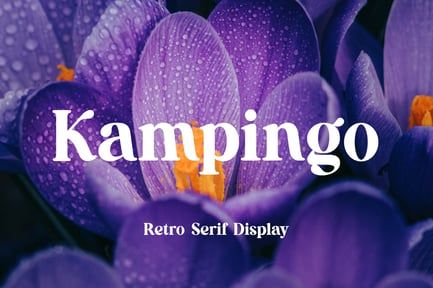 Kampingo Retro Serif Display Font