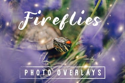 30 Dreamy Firefly Photo Overlays