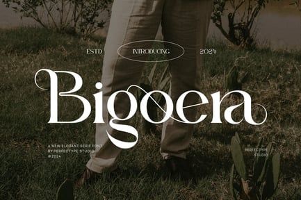 Bigoera Elegant Serif Font Typeface