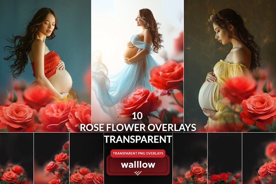 Rose flower transparent PNG Photoshop overlays