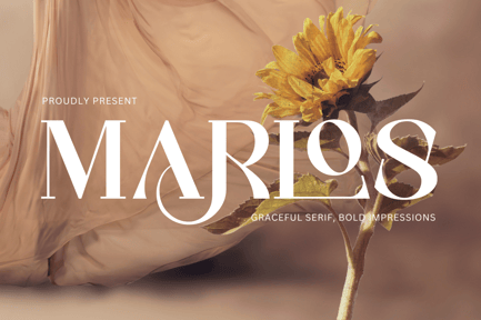 Marlos – Beautiful Serif Font