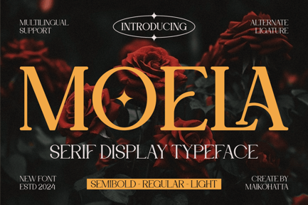 Moela – Serif Display Typeface