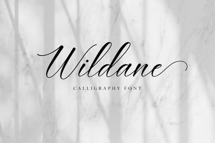 Wildane | Calligraphy Font