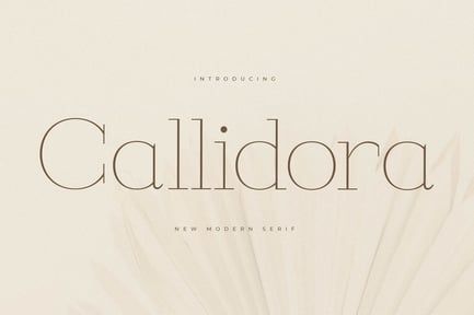 Callidora New Modern Serif Font