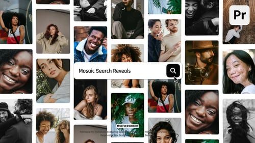 Mosaic Search Reveals – Premiere Pro