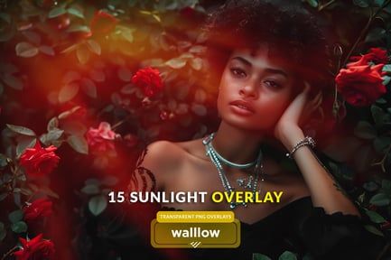 Natural subtle sunlight transparent photo overlays