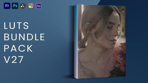 LUTs Bundle Pack V27