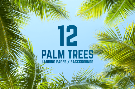 12 Palm Trees Against Blue Sky Backgrounds