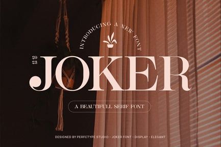 Joker Elegant Serif Font Typeface