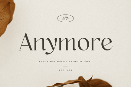 Anymore – Fancy Minimalist Aesthetic Font