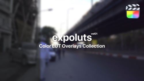 Expo Presets for Final Cut Pro Vol. 01