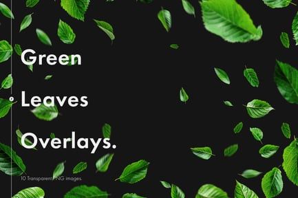 Green Leaves Overlays