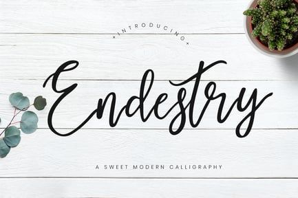 Endestry Calligraphy Wedding Font