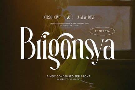 Brigonsya Elegant Ligature Serif Font Typeface