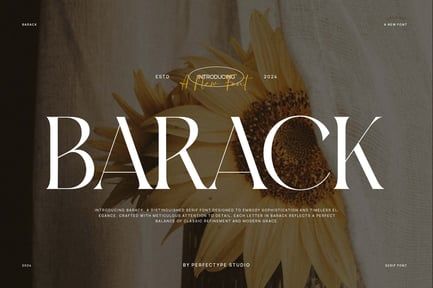 Barack Elegant Serif Font Typeface