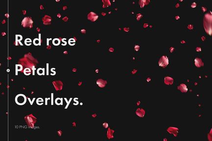 Red Rose Petals Overlays