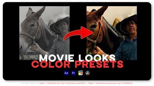 Movie Looks LUTs – Color Presets Pack