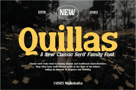 Quillas – Classic Serif Family Font