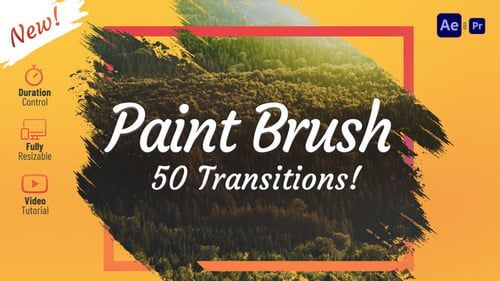 Paint Brush Transitions