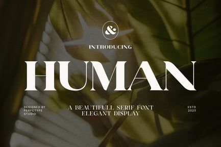 Human Elegant Serif Font Typeface