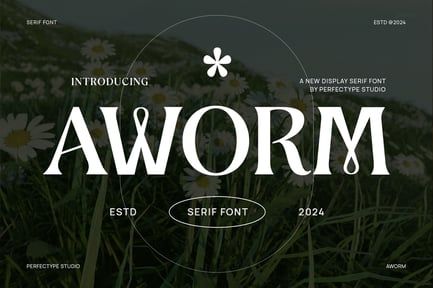 Aworm Elegant Serif Font Typeface