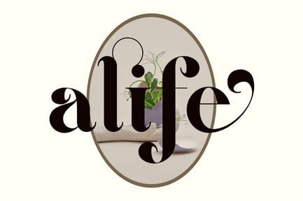 alife unique ligature serif typeface