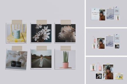 Mood Board Mockup