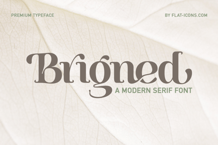 Modern Serif Font