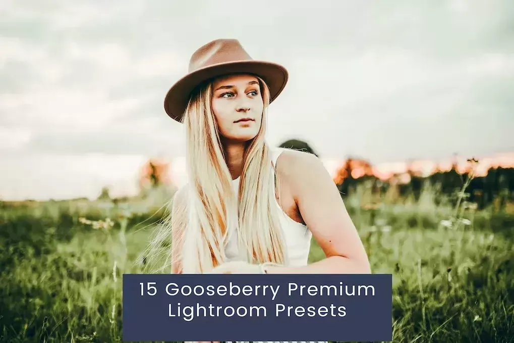 15 Gooseberry Premium Lightroom Presets