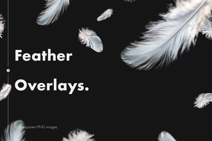 Feather Overlays