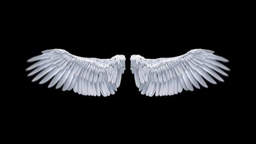 Angel Wings