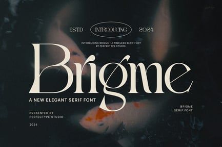 Brigme Elegant Ligature Serif Font Typeface