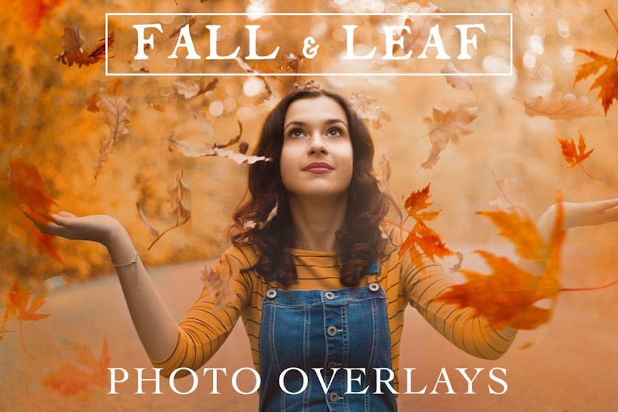 70 Natural Falling Autumn Leaves Photo Overlays