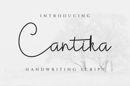 Cantika Script Signature Font