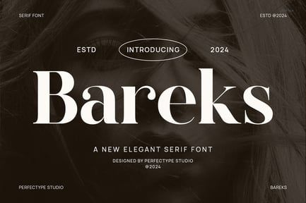 Bareks Elegant Serif Font Typeface