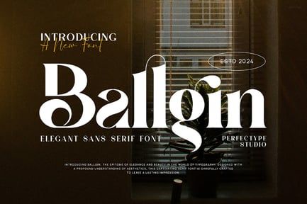 Ballgin Elegant Ligature Serif Font Typeface