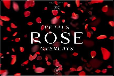 Rose Petals Overlays